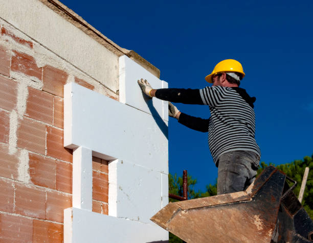 Best Insulation Repair Services  in Lasalle, IL
