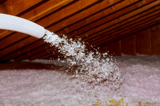 Best Insulation Replacement Services  in Lasalle, IL