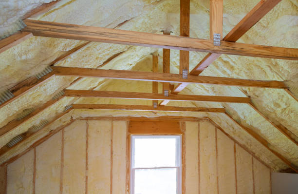 Insulation Contractors for Homes in Lasalle, IL