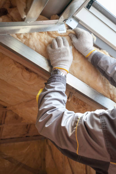 Best Insulation Replacement Services  in Lasalle, IL