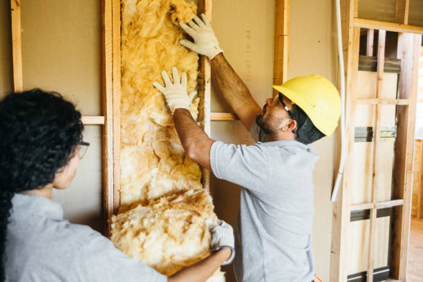 Lasalle, IL Insulation Contractor Company